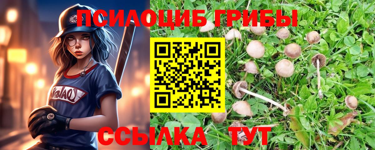 Меф Мариинск