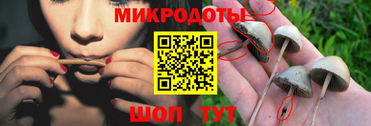 Псилоцибиновые грибы Psilocybe  Вход с VPN  Мариинск 